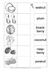 AB-fruit-Zuordnung 3.pdf